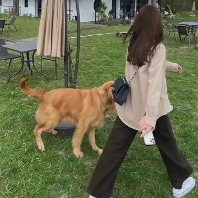轰炸机之歌