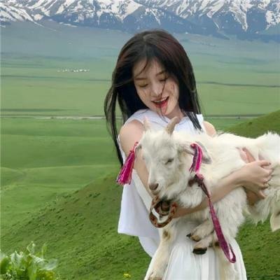 狮子王2019